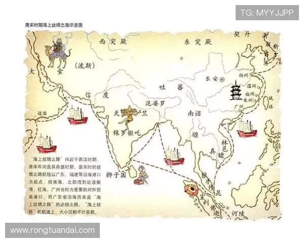 武汉排球队的奋斗与荣耀:精英赛背后的故事与突破之路